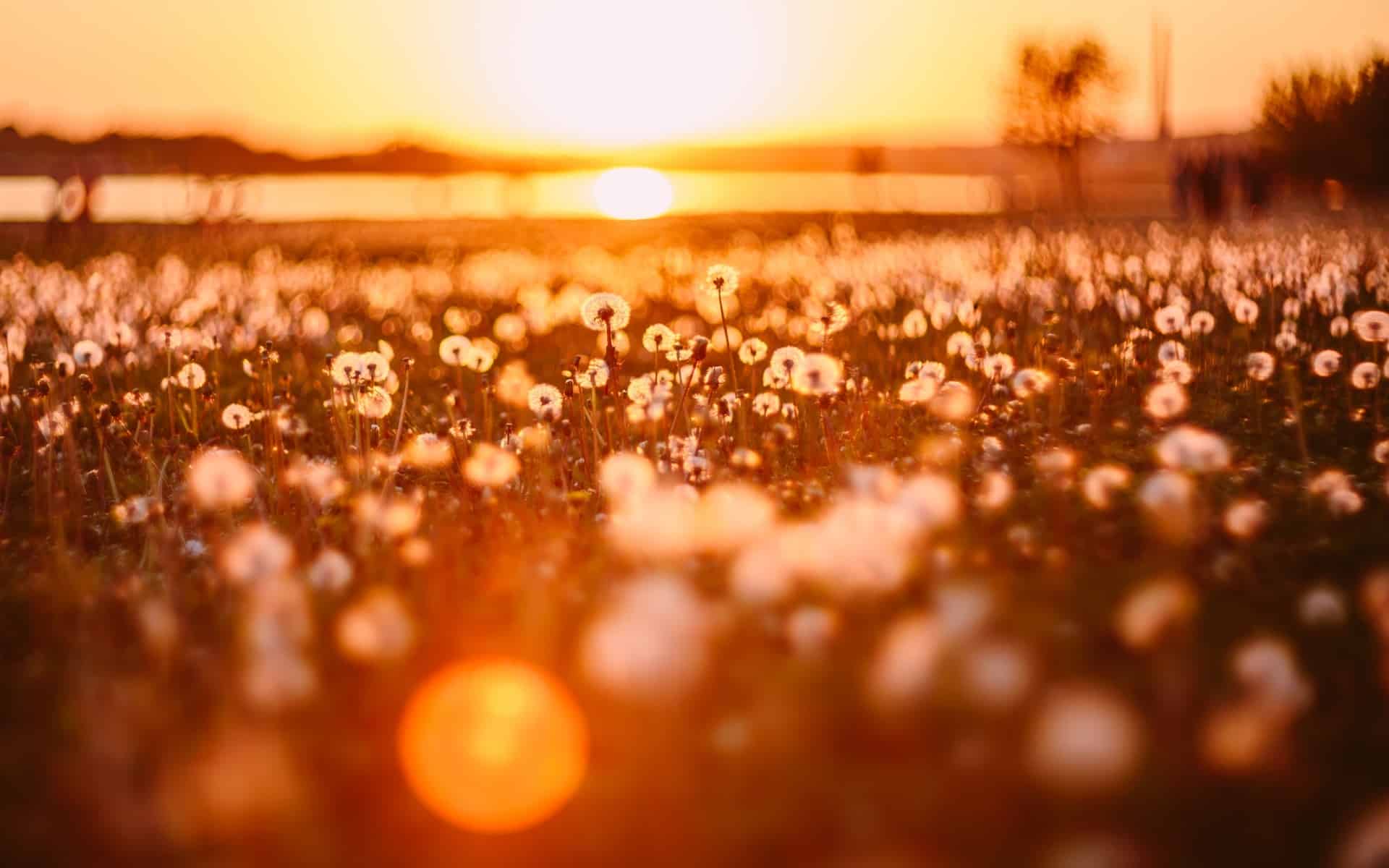 Coucher de soleil